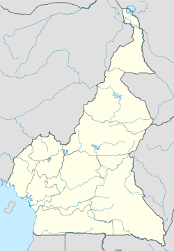 巴富萨姆在喀麦隆的位置