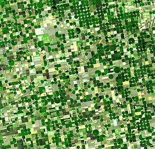 Circular crop fields at Center pivot irrigation, by NASA