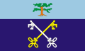 Flag of Saint Pierre du Bois