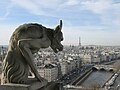 Image 39View from Notre-Dame de Paris.