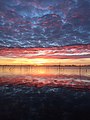 Sunrise over Lake Eppalock