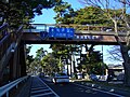 神奈川县中郡大矶町：东海道松树