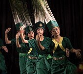 Robam Kngaok Pursat (Pursat peacock dance from the Por minority)