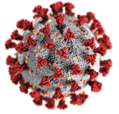 This image reveals ultra-structural morphology exhibited by the virus