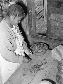 Woman preparing "poke salad" made of pokeweed (or phytolacca americana)