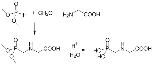 从亚磷酸二甲酯制取草甘膦