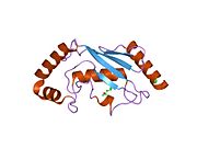 2esp: Human ubiquitin-conjugating enzyme (E2) UbcH5b mutant Ile88Ala