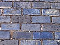 A close-up shot, taken while standing, of Old San Juan's cobblestones