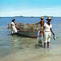 Fisherman landing his catch, Seychelles