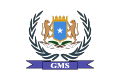 One of flag version of Galmudug (14 August 2006 – 3 February 2009)