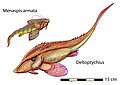 （复原图）左上：颊甲鲛属（德语：Menaspis），右下：三角褶鲛属，属于颊甲鲛目（Menaspiformes）