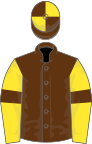 Brown, yellow sleeves, brown armlets, brown and yellow quartered cap
