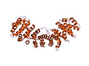 1ejy: 老鼠内输蛋白a-核质素NLS肽复合物