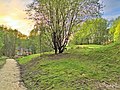 This greenspace was the location of the pithead buildings.