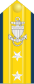 少将