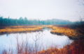 Near Clam Lake in Chequamegon National Forest