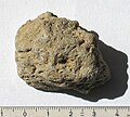 Pumice from the Greek volcanic island Santorini