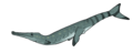 Rhacheosaurus (seems file name typo, Racheosaurus)