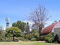 View from the back garden showing the large fernery structure to the right