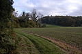 Looking south from west edge of Crook's Copse to north fringe of High Wood.
