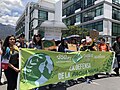Climate Strike in Quito, Ecuador
