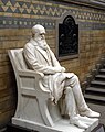 Statue of Charles Darwin in the Natural History Museum