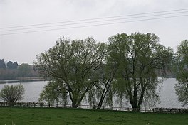 photo of water and trees