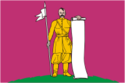 Flag of Staroshcherbinovskaya
