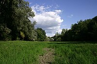 Landscape in Gemenc Forest