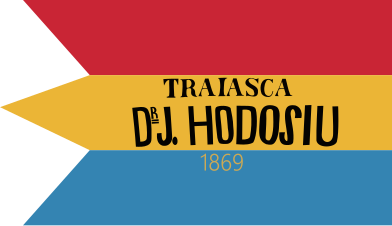 Tricolor used in 1869 election by supporters of Iosif Hodoșiu (reverse side)