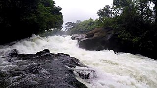 Waterfall in Korup Park