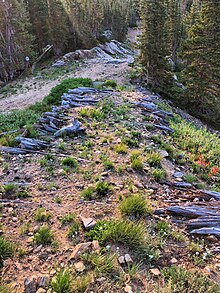 Original log cribbing on Rollins Pass, laid by John Q.A. Rollins, to aid with the passage of wagons in this area along Guinn Mountain. This view is looking due east; out of frame and directly below at right, is Yankee Doodle Lake.