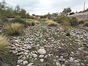 Dried up Salt River bed leading to the Joint Head Dam.