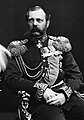 Image 4Photograph of Tsar Alexander II, 1878–81 (from Absolute monarchy)