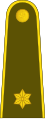 Leitenantas (Lithuanian Land Forces)[50]