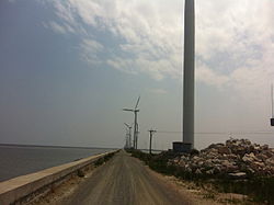 莱州湾海岸的风车
