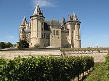 Vignes du Château de Saumur