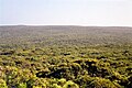 Kangaroo Island