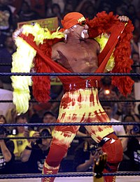 Photograph of Hulk Hogan tearing off his flamboyant costume and exposing his chest