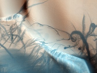 Martian dust devil trails