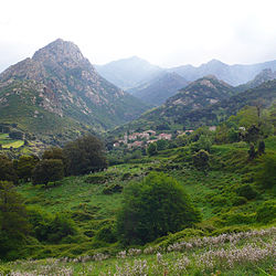 A view of the village of Peri, in spring, from the bottom of the valley of Santa Libarata