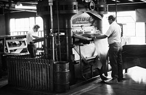 Two men pressing the leather near the end of the tanning process. Oct. 1975
