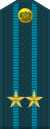 Lieutenant Colonel