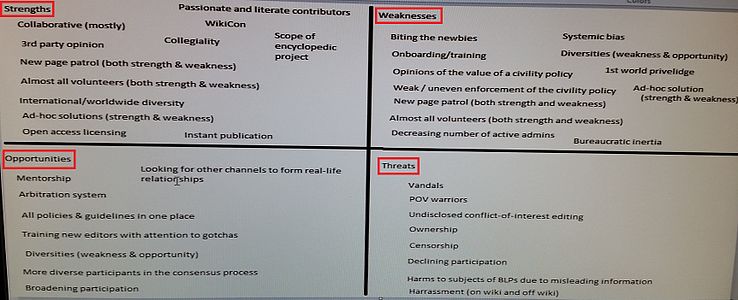 Where are we today (SWOT analysis)?