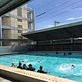 CDU Swimming Pool
