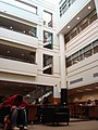 Mann Library Interior