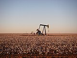 Active Permian Basin pumpjack east of Andrews, TX