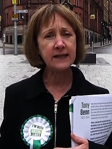 Green Party MEP Patricia McKenna who successfully lodged a complaint against the government with the Supreme Court regarding the referendum