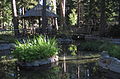 Arborteum in the Pope Estate Gardens