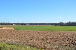 Fields southeast of Sherwood